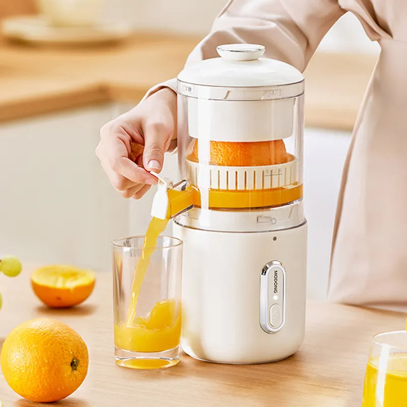 Electric Juicer Blender