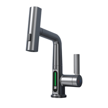 Intelligent Digital Faucet